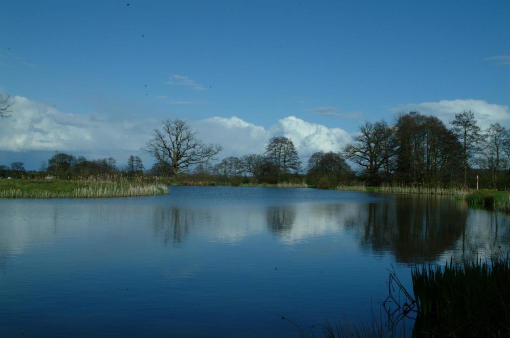 Netley Hall Dorrington Luaran gambar